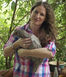Here I am with one of our most loved Araucanas, ‘Stella’.