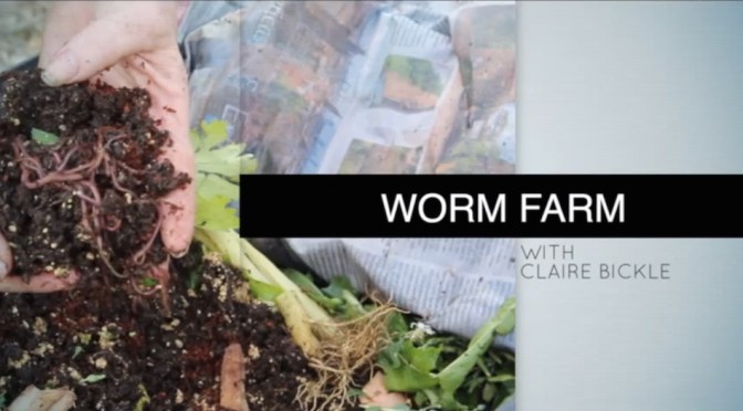 Worm Farm