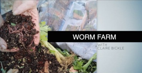 Worm farm