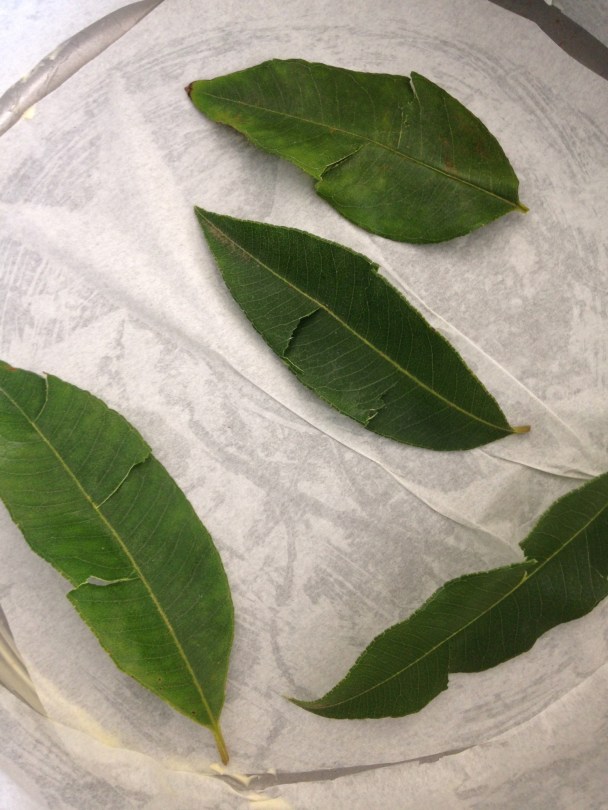 Leaves slightly torn to release flavour and placed in the bottom of the cake tin.