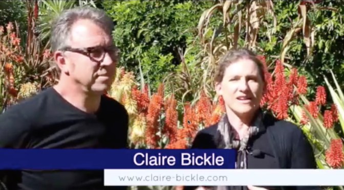 The Wonders of Flowering Aloes