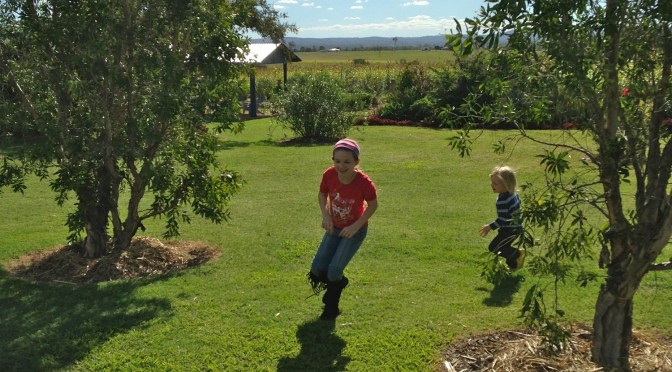Gardening with Children: Nature – The Wild Discovery Garden.