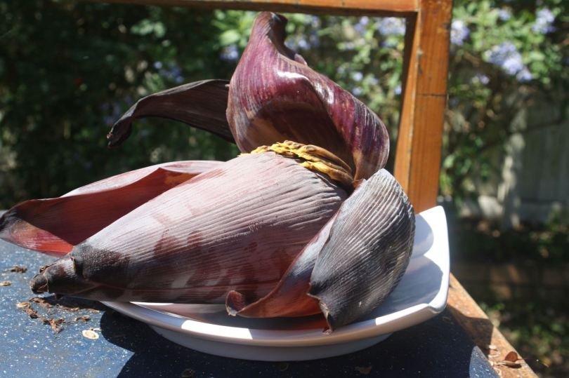 Banana flower on a plate
