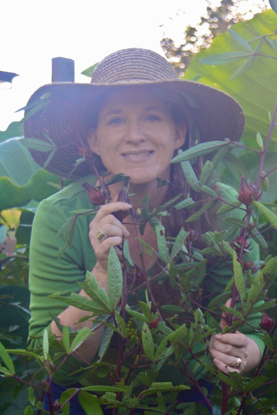 Claire with a Rosella bush