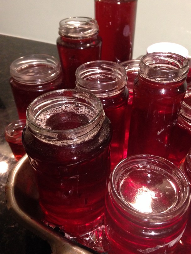 Rosella jelly in jars