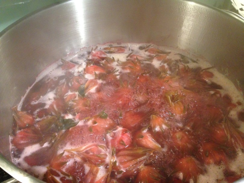 Rosella calyxes simmering in a stainless steel pot