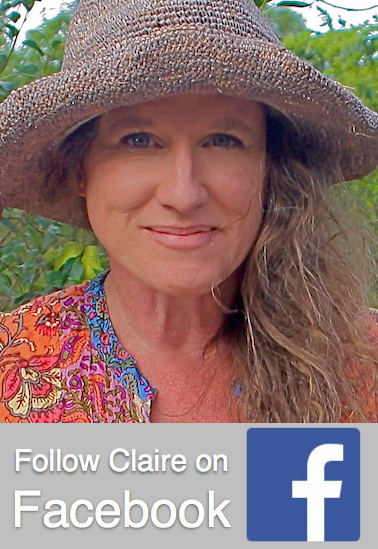 Click to visit Claire's Facebook page