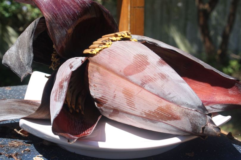 banana flower on a platter