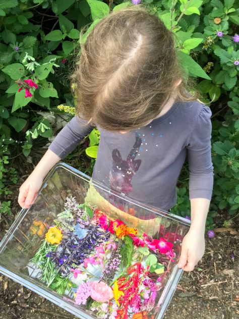 Edible flowers from our garden