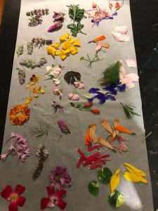 pressing edible flowers 